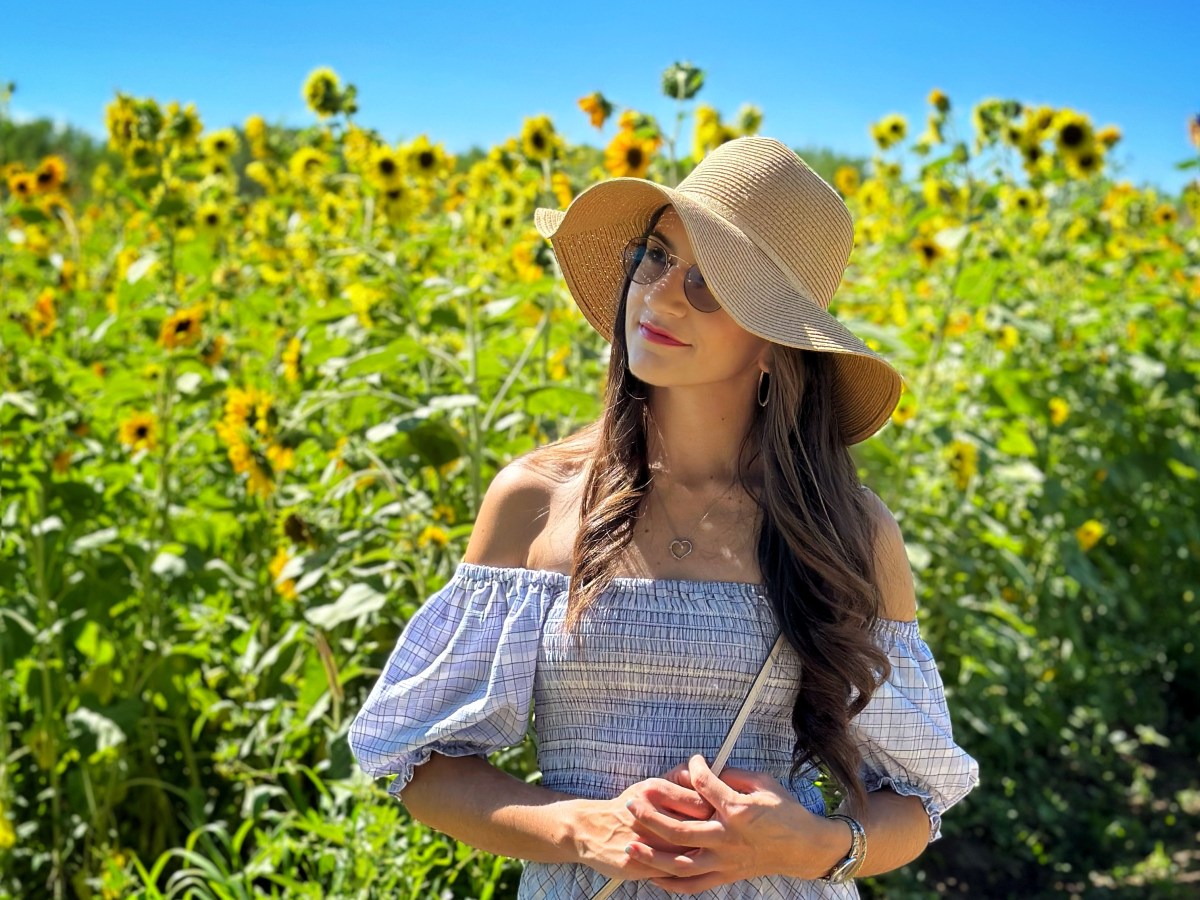 Big Jim’s Farm U-Pick –&nbsp;Sunflowers